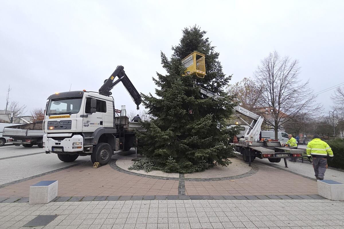 Gödöllő karácsonyfa főtér
