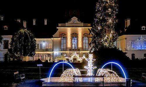 Erzsébet királyné fénykertje 